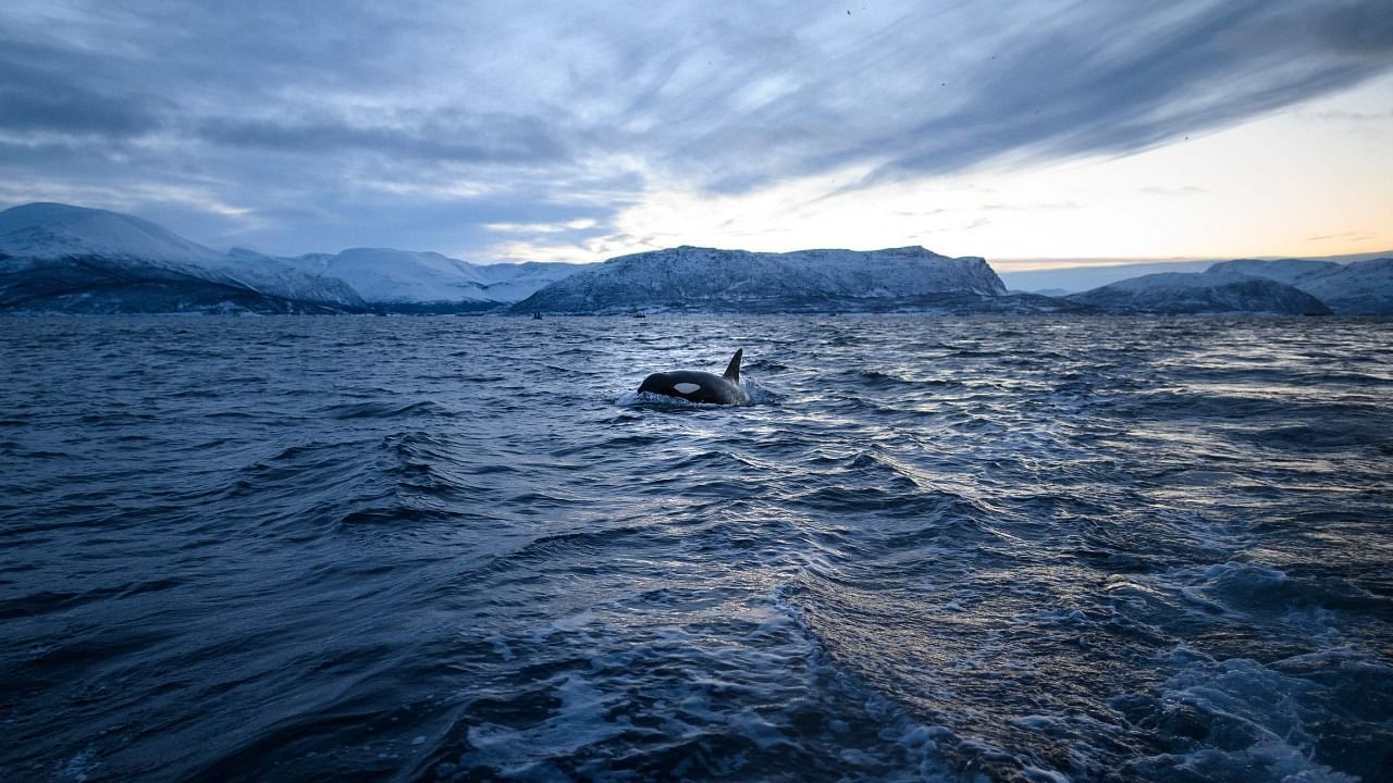 Science now considers it unequivocal that humans are responsible for this accelerating climatic upheaval. Credit: AFP Photo