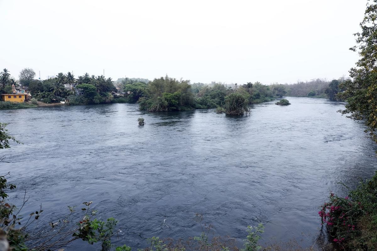 The free flowing Kali river, the lifeline of Uttara Kannada, in Dandeli. Credit: DH File Photo
