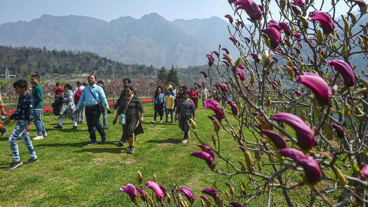 Tourists visit Asia's largest tulip garden on the foothills of Zabarwan Mountains overlooking Dal Lake, in Srinagar, Wednesday, March 23, 2022. Credit: PTI Photo
