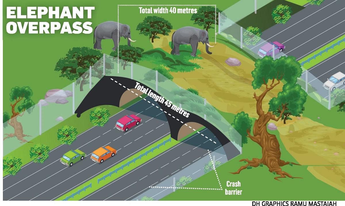 Inordinate delay by the National Highways Authority of India (NHAI) in approving the construction of an elephant overpass on Kanakapura Road (National Highway 209) in southern Bengaluru has cost the life of an elephant. Credit: DH Graphic