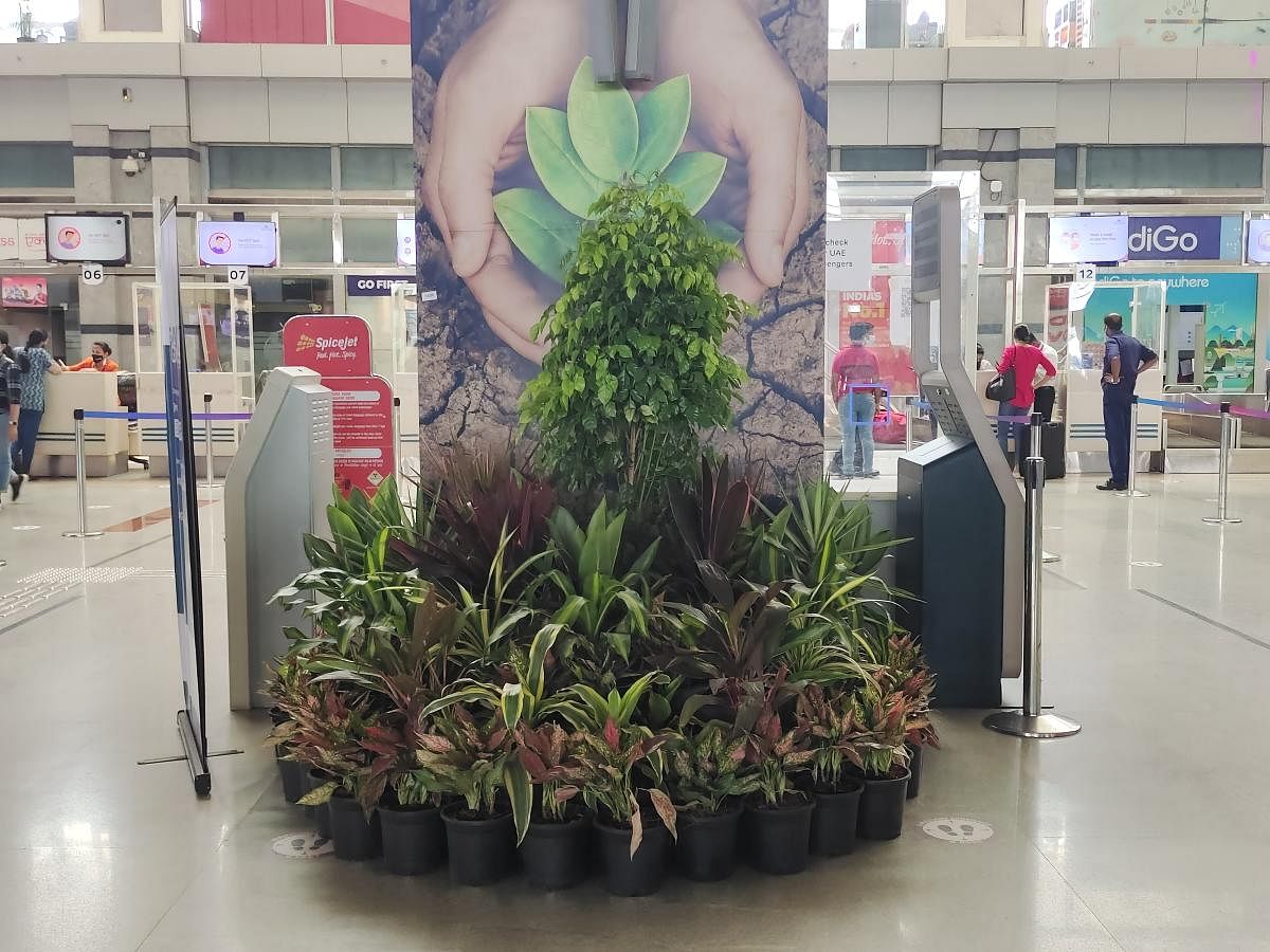 Pots with the local variety of ornamental plants have been placed at the departure area of Mangaluru International Airport (MIA).