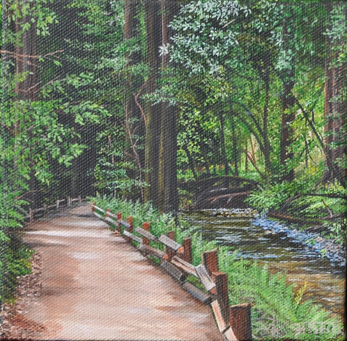 'Muir Woods' by Asha Vivek. 