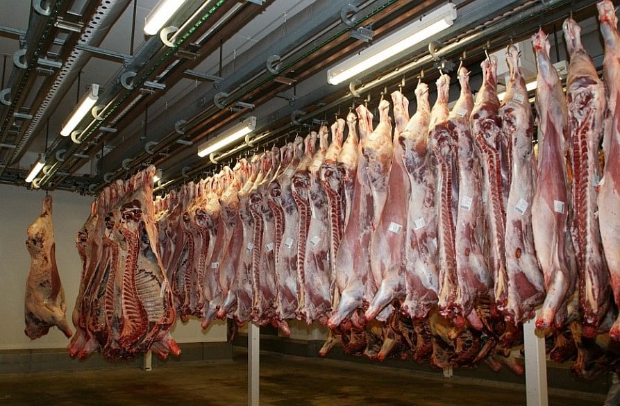 [Representational Image] BJP MLA asks local administration to act against illegal abattoirs in Mangalore. Picture Credit: Pixabay