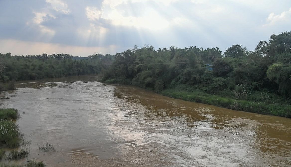 River Cauvery flowing near Kushalnagara at Kodagu district. Credit: DH Photo/ SK Dinesh