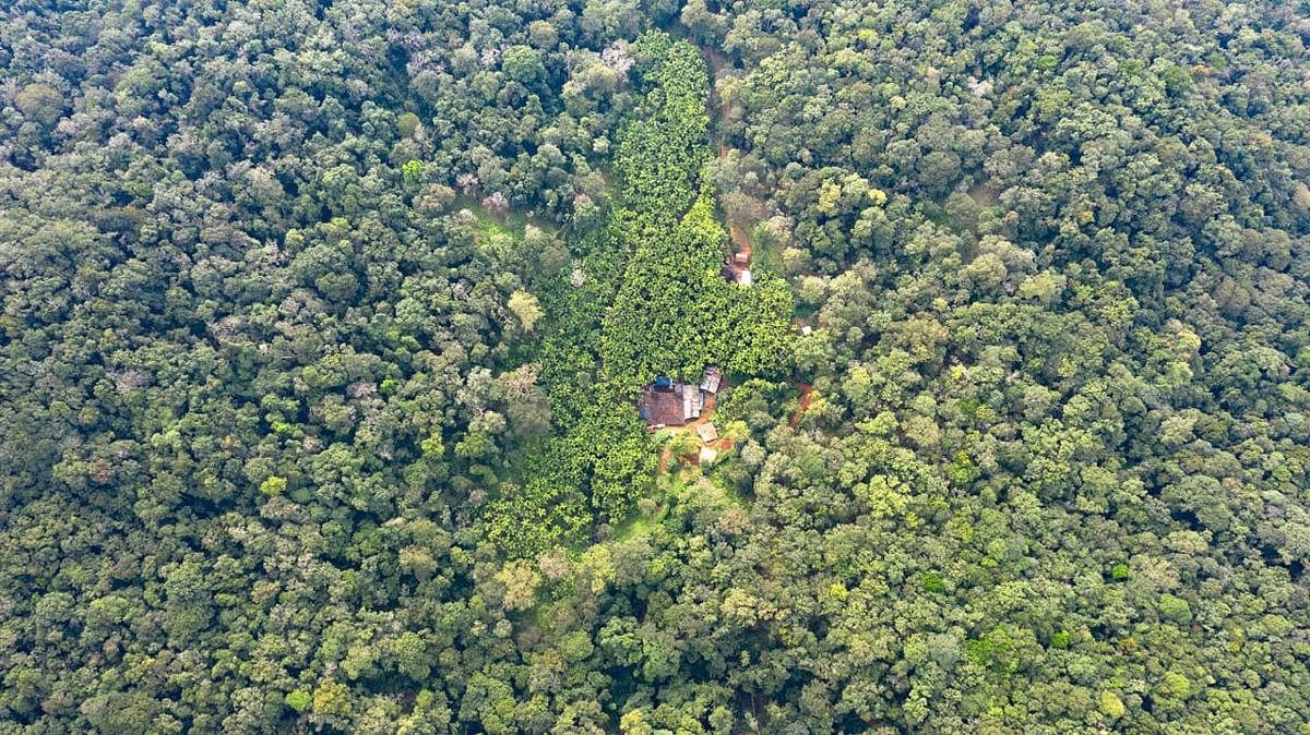 A view of a hamlet inside the Kali Tiger Reserve in Uttara Kannada district. Credit: Forest Department