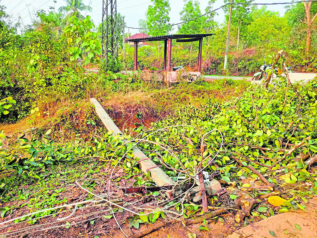 An electricity pole was damaged at Mundaje in Belthangady.