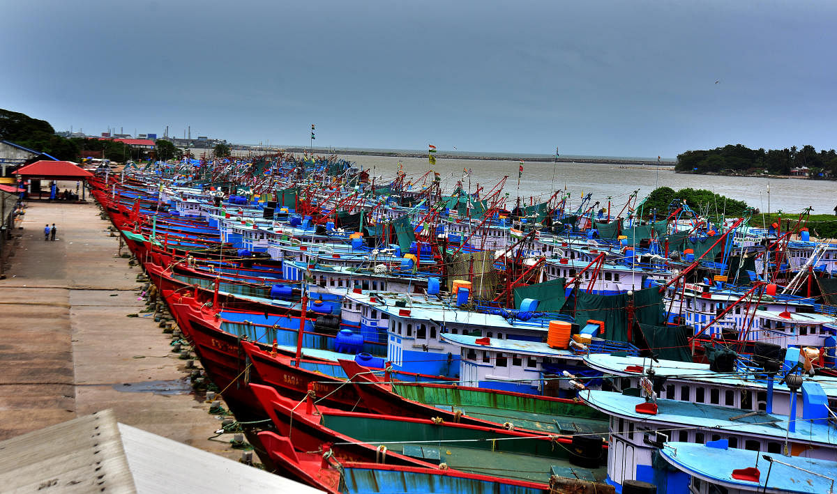 Fish catch is reducing in Karnataka's coastal districts. Credit: DH Photo