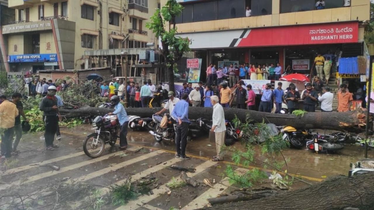 Two-wheelers in large numbers were damaged after a tree uprooted due to gusty winds during unseasonal rains landed on them at Ambedkar Road in Belagavi on Tuesday. Credit: Special arrangement