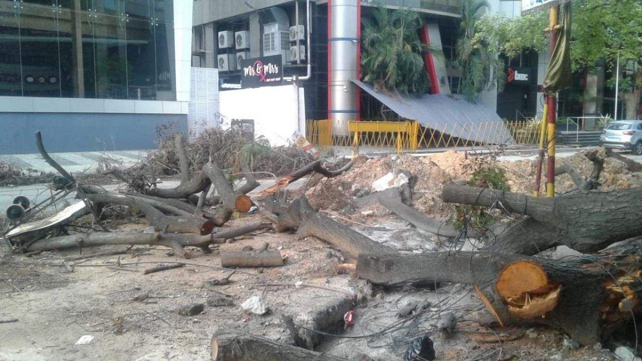Trees cut for the metro station at Vellara Junction. Credit: DH file photo