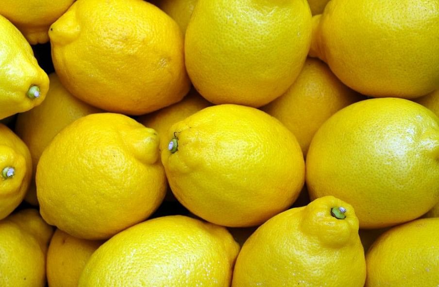 Lemon squeezes pocket as prices hit the roof in Mumbai. Picture Credit: Pixabay