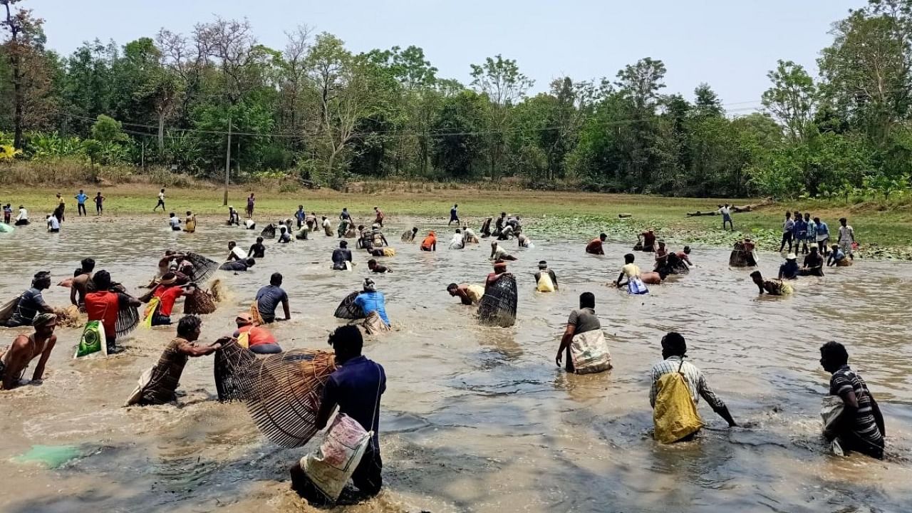 People in Kalkardi village equipped with kuni participating in a fish hunt. Credit: Special arrangement