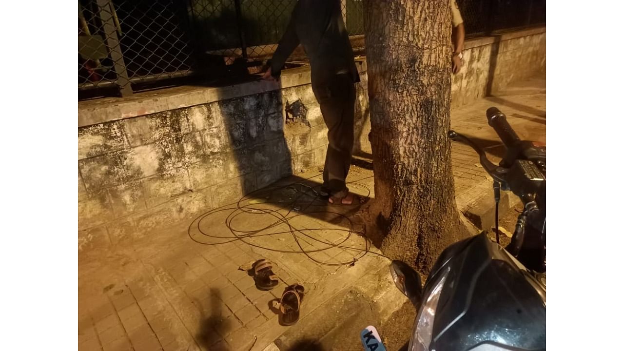 A cable wire was hanging from a tree on the roadside. Credit: Special Arrangement