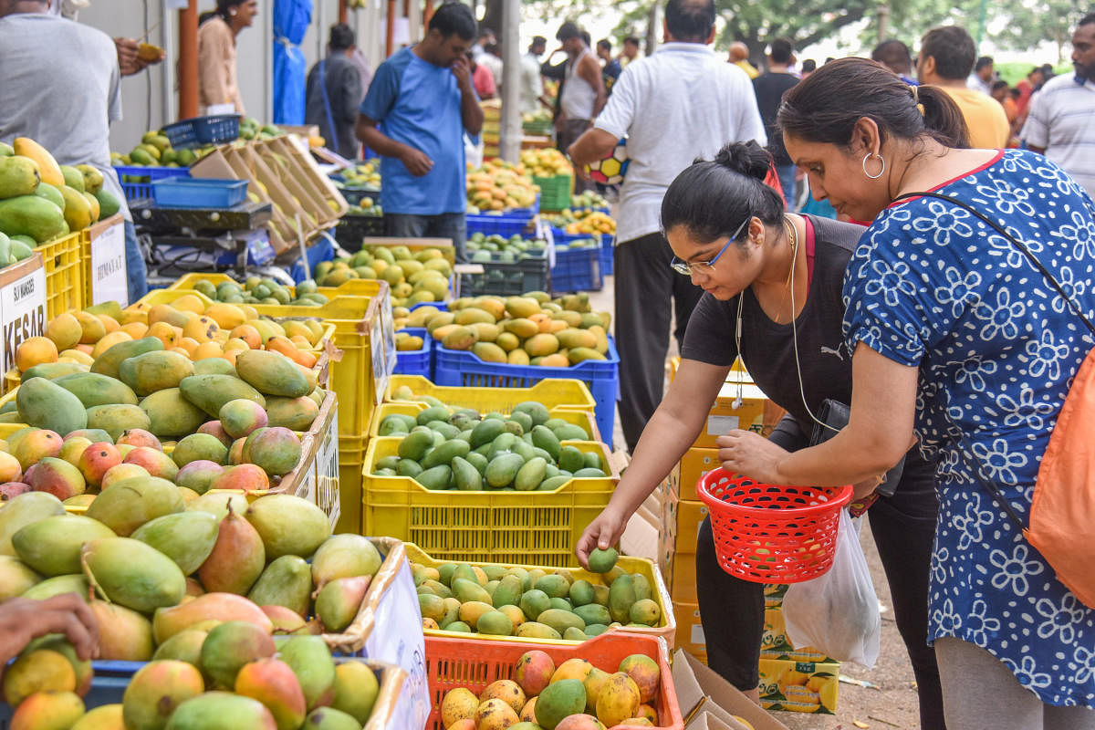 The mela opens at a time when most varieties of mango would have flooded the market. Credit: DH Photo