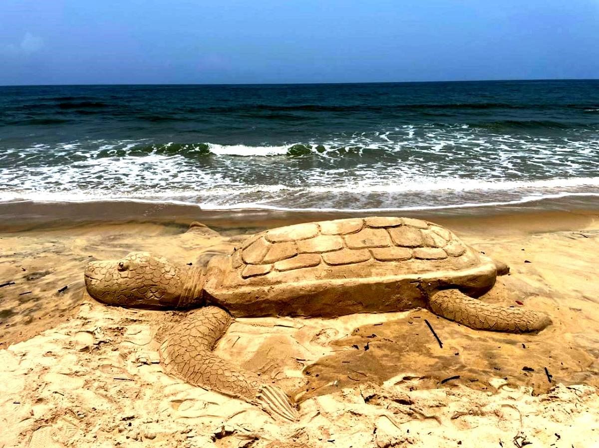 A sand sculpture of a sea turtle.
