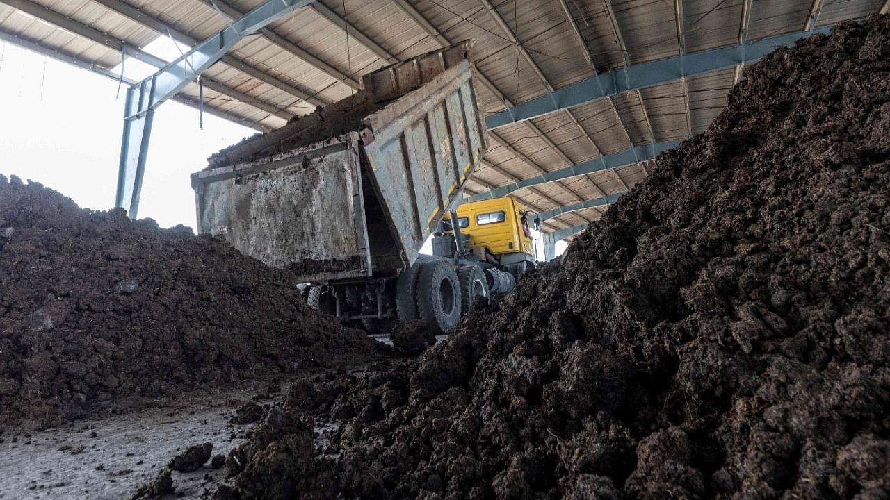 Truck unloads cow dung collected from farmers for biogas production at a storage area inside the bio-CNG (compressed natural gas) plant in Indore. Credit: AFP Photo