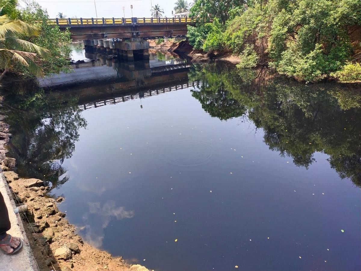 The effluents released by industries in Baikampady Industrial Area had turned the stream in Thokur, which joins the Phalguni river, black. DH file photo