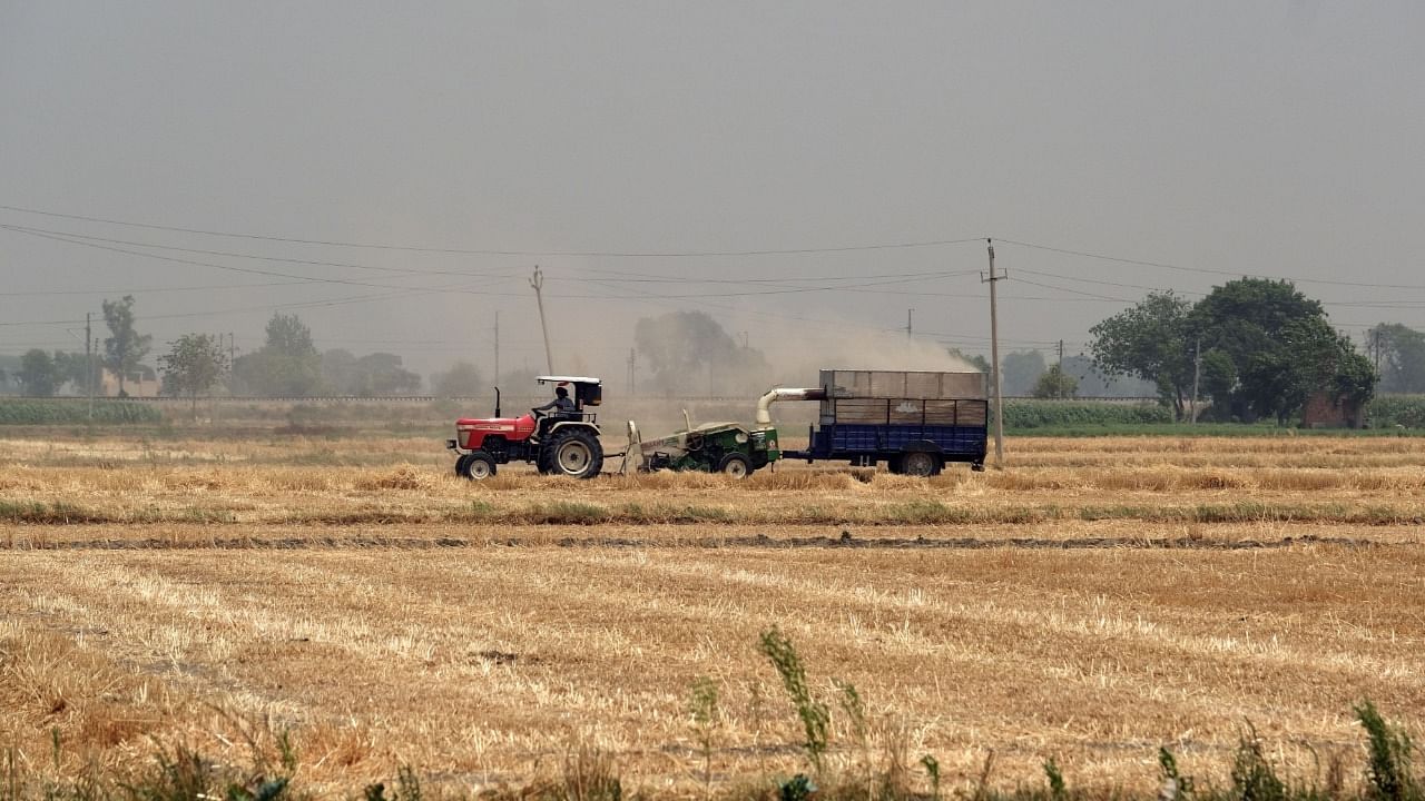 The country experienced its hottest March on record, shriveling India’s wheat crop during a crucial growth period. Credit: Bloomberg