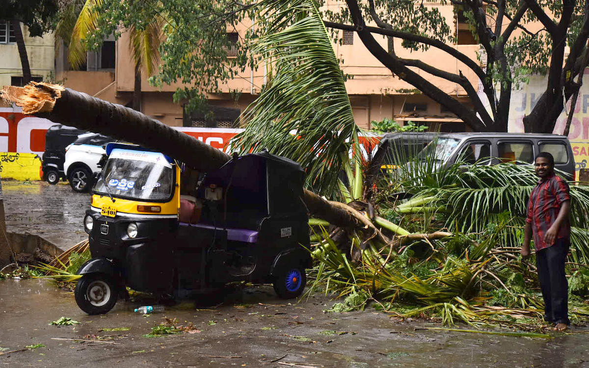 A tree branch came down crashing on an autorickshaw as heavy rain accompanied by gusty winds lashed Hubballi on Wednesday. DH Photo / Govindraj Javali