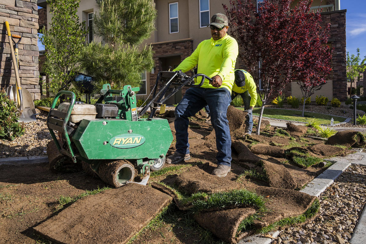 Jaime Gonzalez removes non-functional turf from a residential development in Las Vegas, March 30, 2022. Credit: New York Times