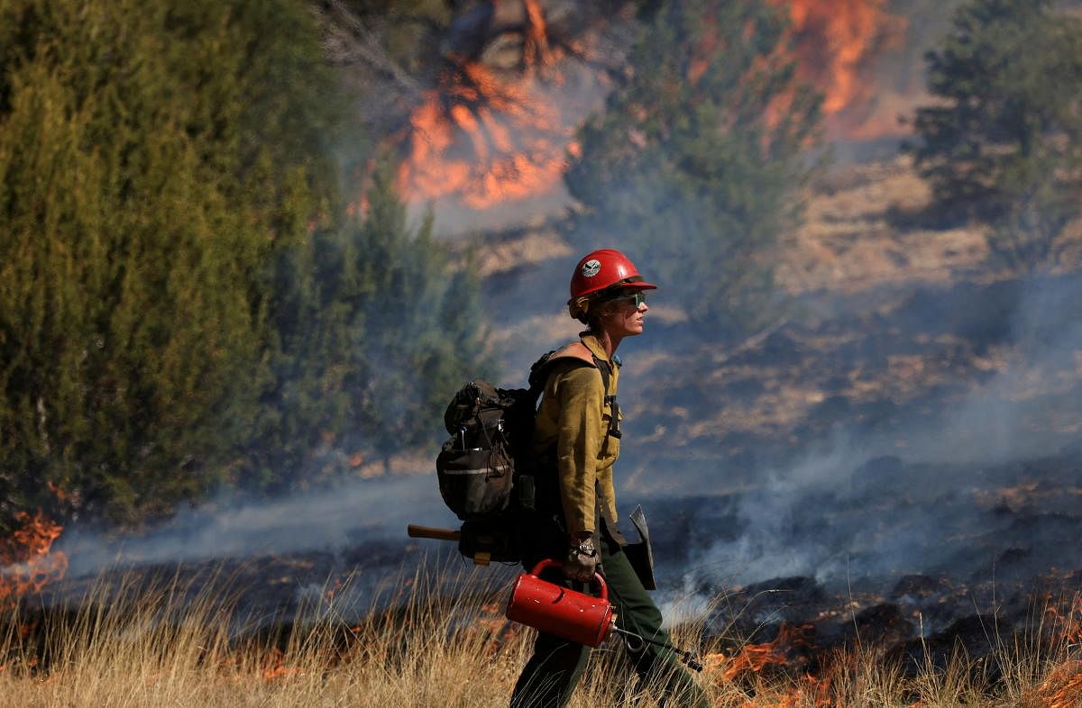 A firefighter conducts a prescribed burn to combat the Hermits Peak and Calf Canyon wildfires, near Las Vegas, New Mexico. Credit: Reuters Photo