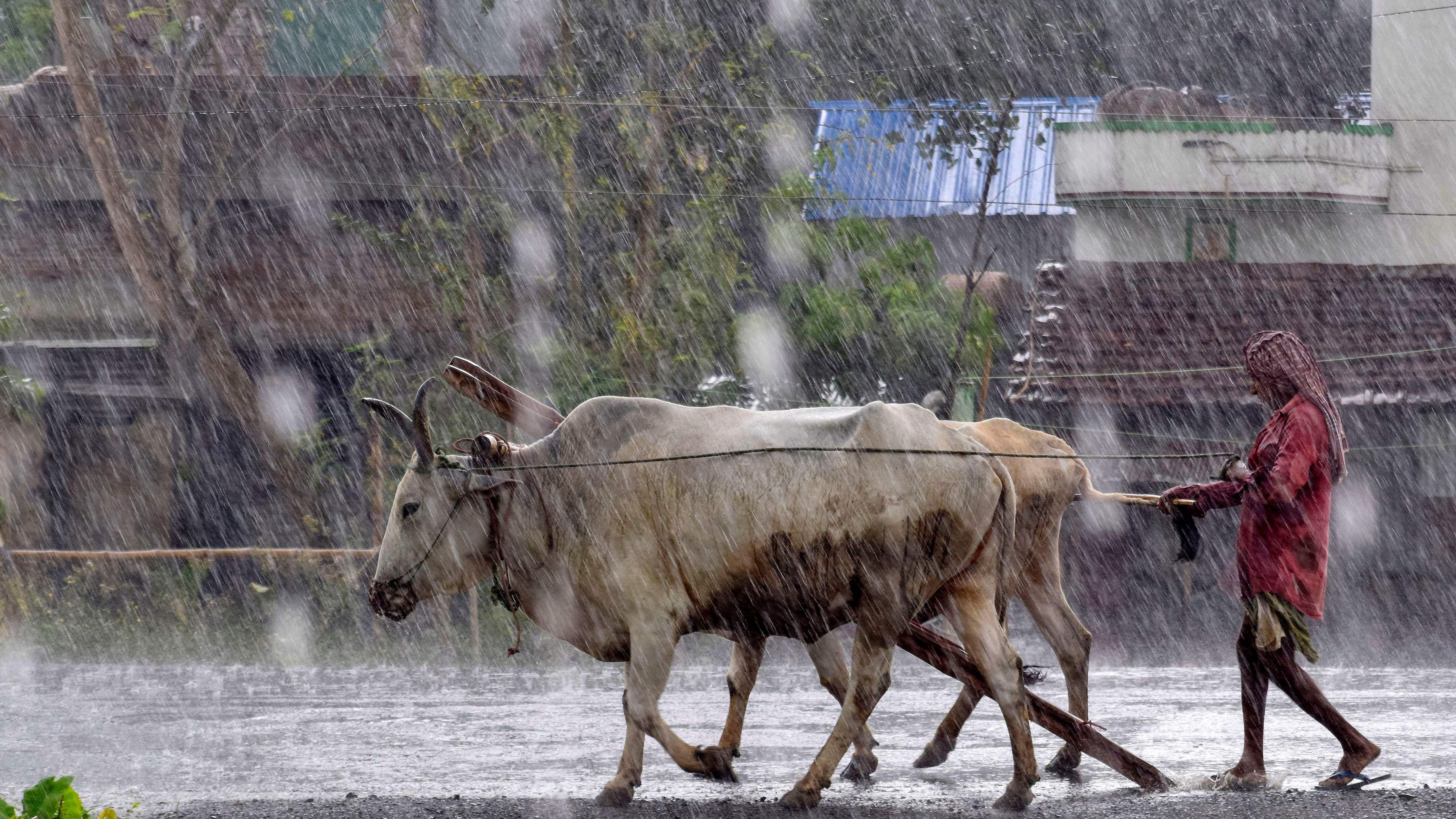 Light to moderate rainfall at a few places with heavy to very heavy rainfall at isolated places is likely over coastal Andhra Pradesh through the day and heavy rainfall at isolated places is likely over coastal Odisha from evening on Tuesday. Credit: PTI Photo/ Representative
