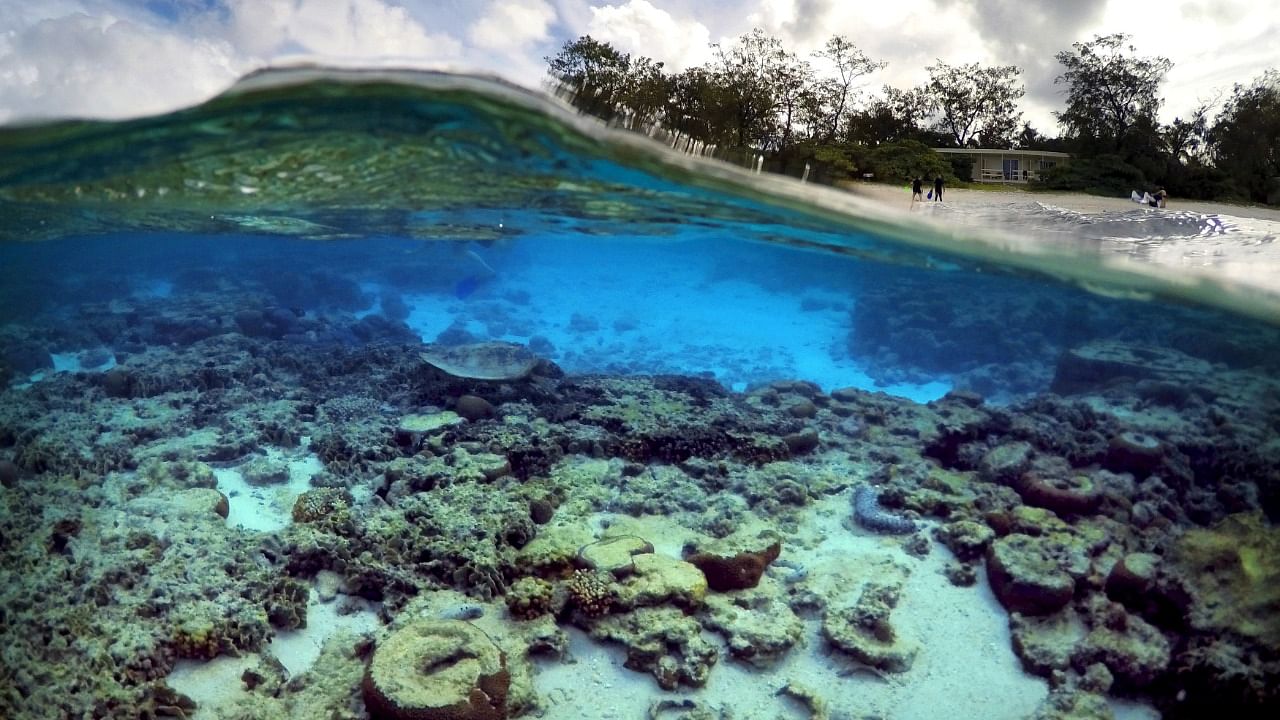 The Reef Snapshot report offered new detail on the damage caused by the fourth 'mass bleaching' the world's largest coral reef system has experienced since 2016. Credit: Reuters File Photo