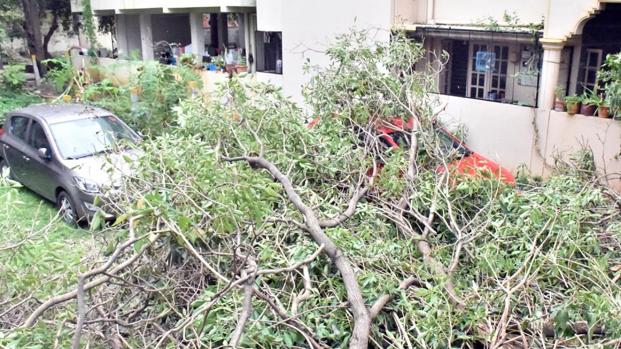 Several trees came crashing down in HSR Layout 3rd Sector on Tuesday following heavy rain and wind, damaging many vehicles. Credit: DH Photo