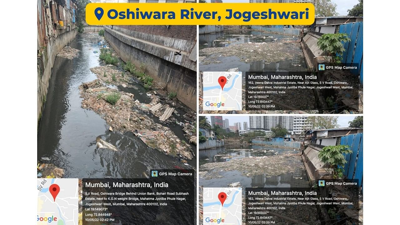 Oshiwara River, Jogeshwari. Credit: Twitter/ @PreetiSMenon