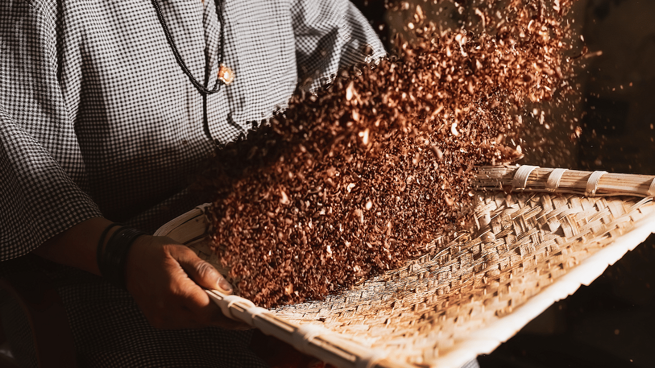 The bean-to-bar or tree-to-bar style retains the flavours from the terroir of the cacao, with distinct tasting notes, much like fine wine or single malt whisky. Winnowing process after roast. Credit: Pascati