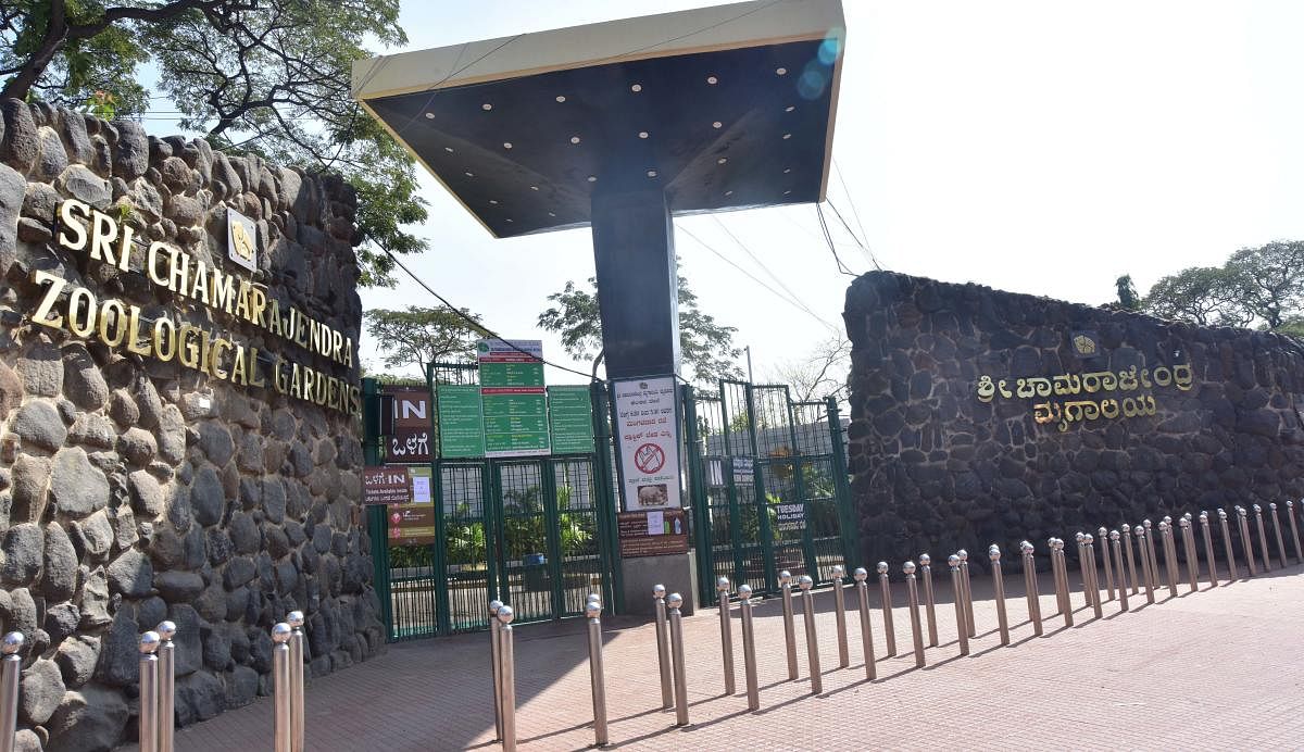 The main entrance of Chamarajendra Zoological Gardens in Mysuru. DH File PHOTO