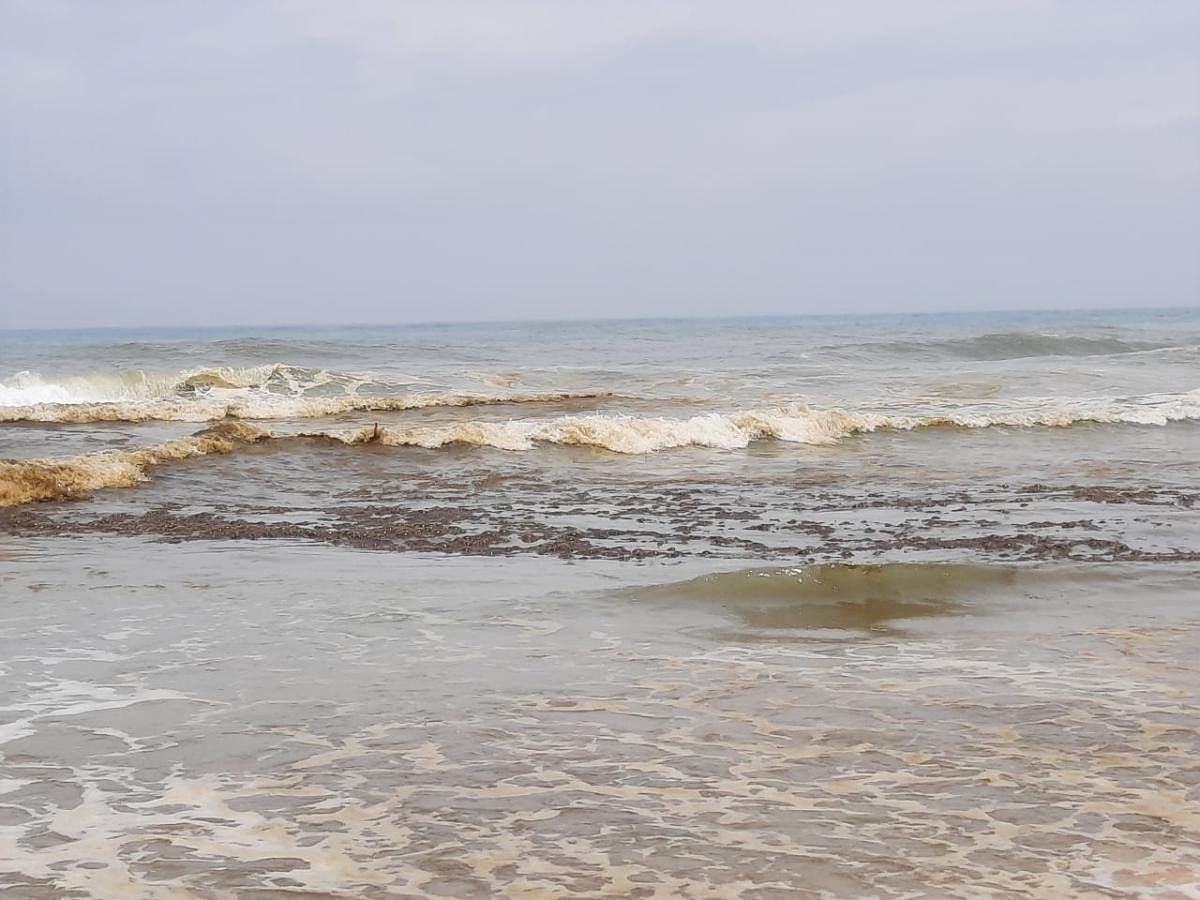 The sediments on the seashore near Surathkal.