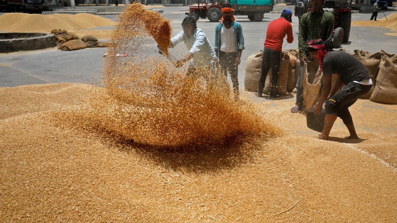 Workers sift wheat before filling in sacks at a market yard on the outskirts of Ahmedabad. Credit: Reuters File Photo