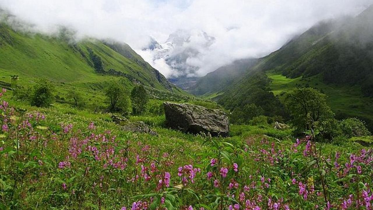 The Valley of Flowers. Credit: Wikimedia Commons