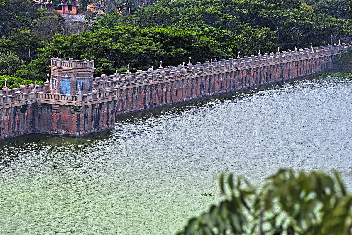 A total of 13,355 trees to be removed for the 73.5-km road are located in the catchment area of Tippagondanahalli reservoir. Credit: DH File Photo