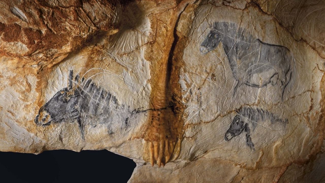The walls of the cave show the coastal plain was teeming with wildlife -- horses, deer, bison, ibex, prehistoric auroch cows, saiga antelopes but also seals, penguins, fish and a cat and a bear. Credit: Twitter/@grotte_cosquer