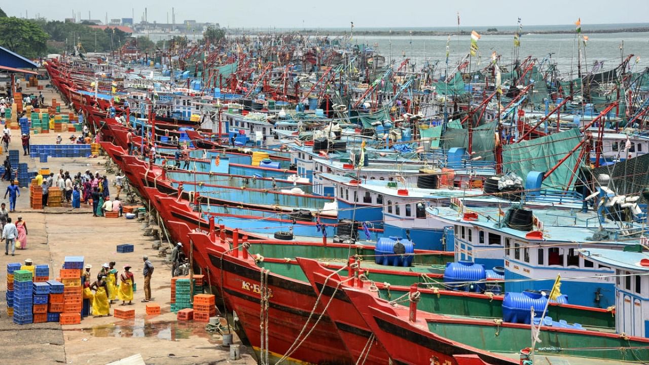 Fishing boats anchored at the Bunder port in Mangaluru, after the 61-day ban on mechanised fishing came into effect on Wednesday. Credit: DH Photo/Irshad Mahammad