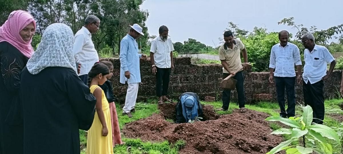 Fruit-bearing saplings are planted at Shenava Maidan in Navagrama of Balepuni GP limits.