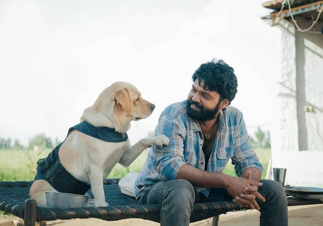 Rakshit Shetty shares a fantastic chemistry with the dog. CREDIT: INSTAGRAM/RASKHIT SHETTY