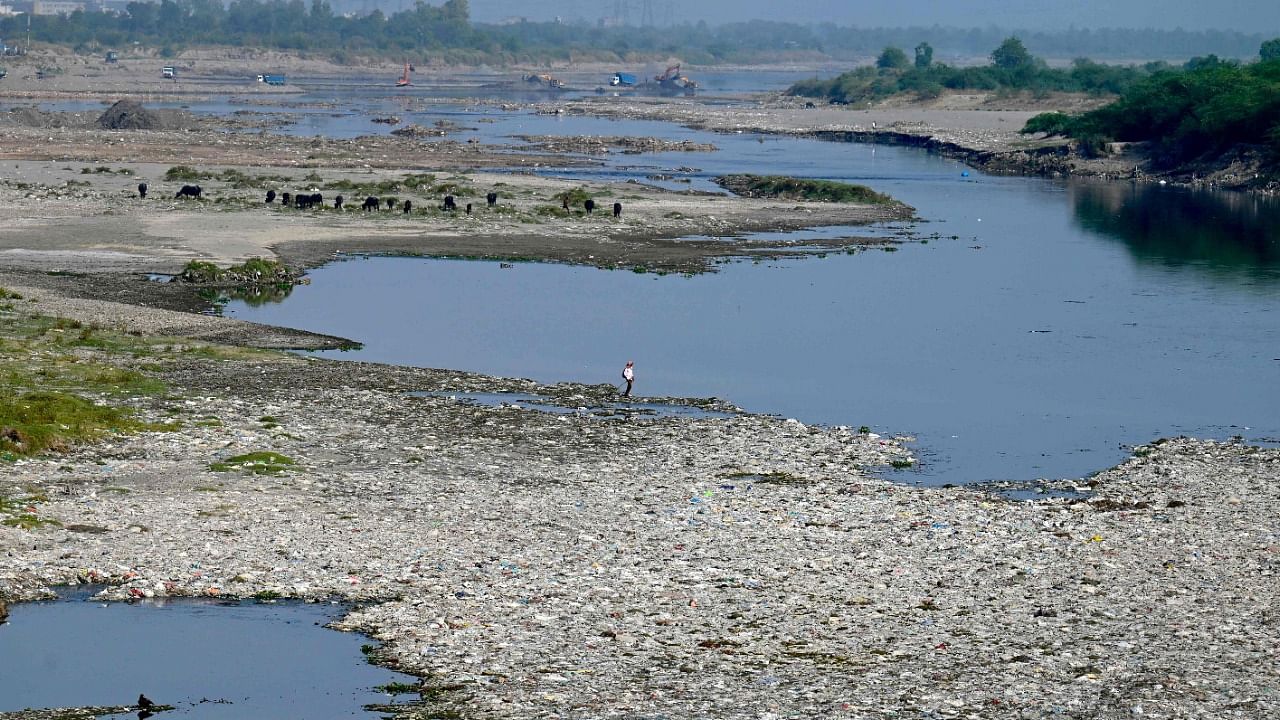 Yamuna River. Credit: AFP File Photo