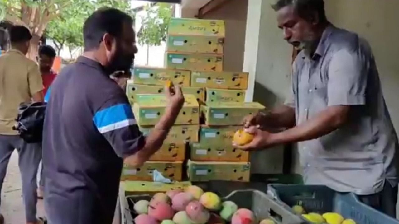 Customer enquires about a mango from a grower from Ramnagara at the two day fruits and jackfruits fair at   Urban Haat of Dr Shivaram Karanth Pilikula Nisargadhama on the outskirts of Mangaluru. Credit: DH photo