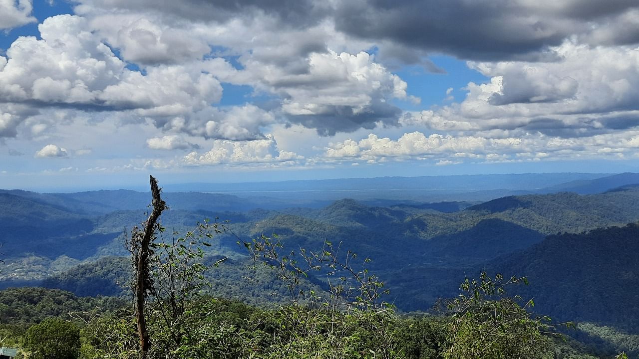 View from Pangsau Pass, Arunachal Pradesh. Credit: Veenu Singh