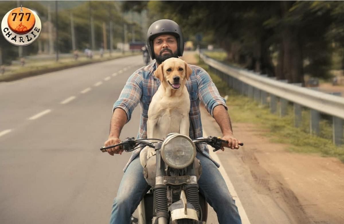 Rakshit Shetty and Charlie take viewers on an emotional rollercoaster in ‘777 Charlie’. Pic Credit: Instagram/Kiranraj K