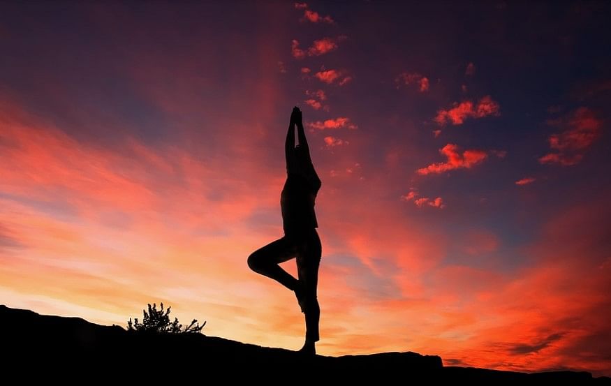 [Representational Image] Vrikshasana Yoga pose. Picture Credit: Pixabay