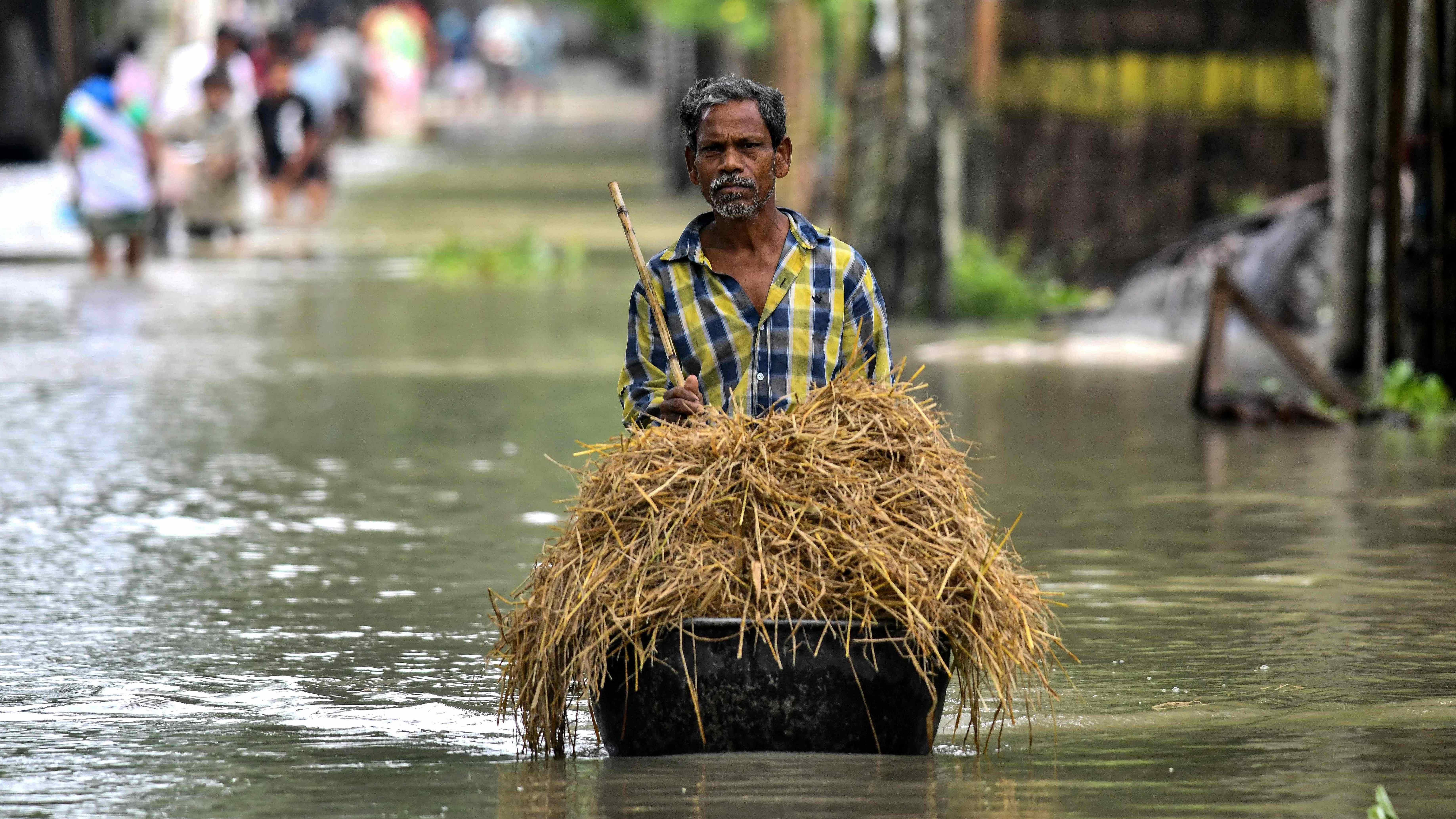 A man carries fodder for his livestock as he wades through flood water in Solmara of Nalbari district. Credit: AFP Photo