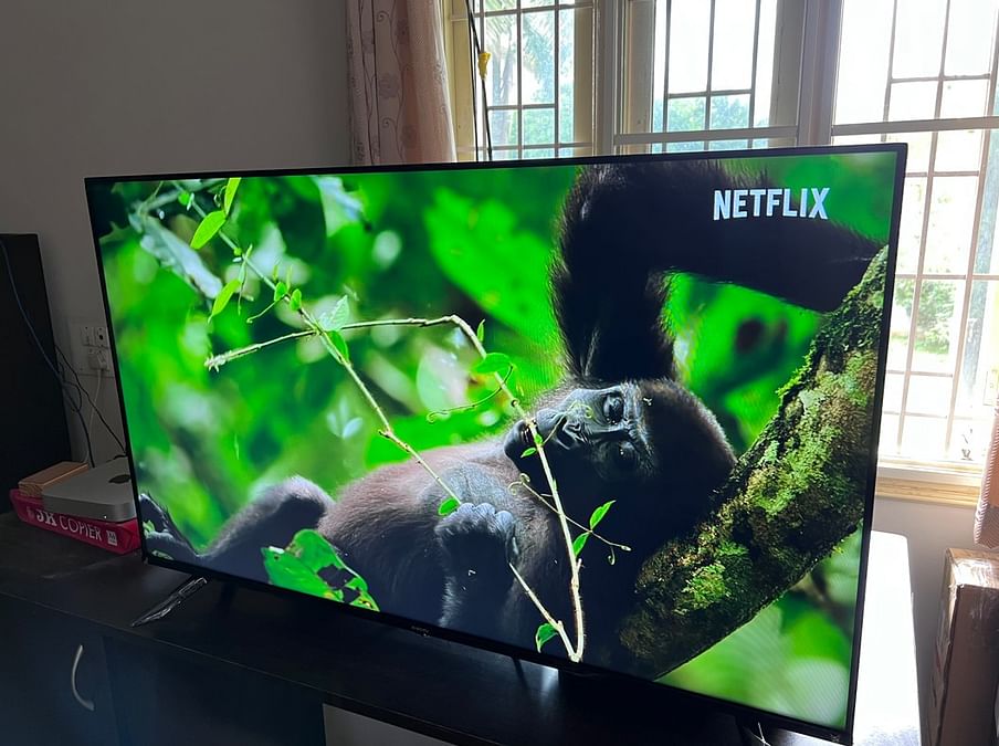 Xiaomi Smart TV 5A 43 Review: Stellar combo of style, features, value