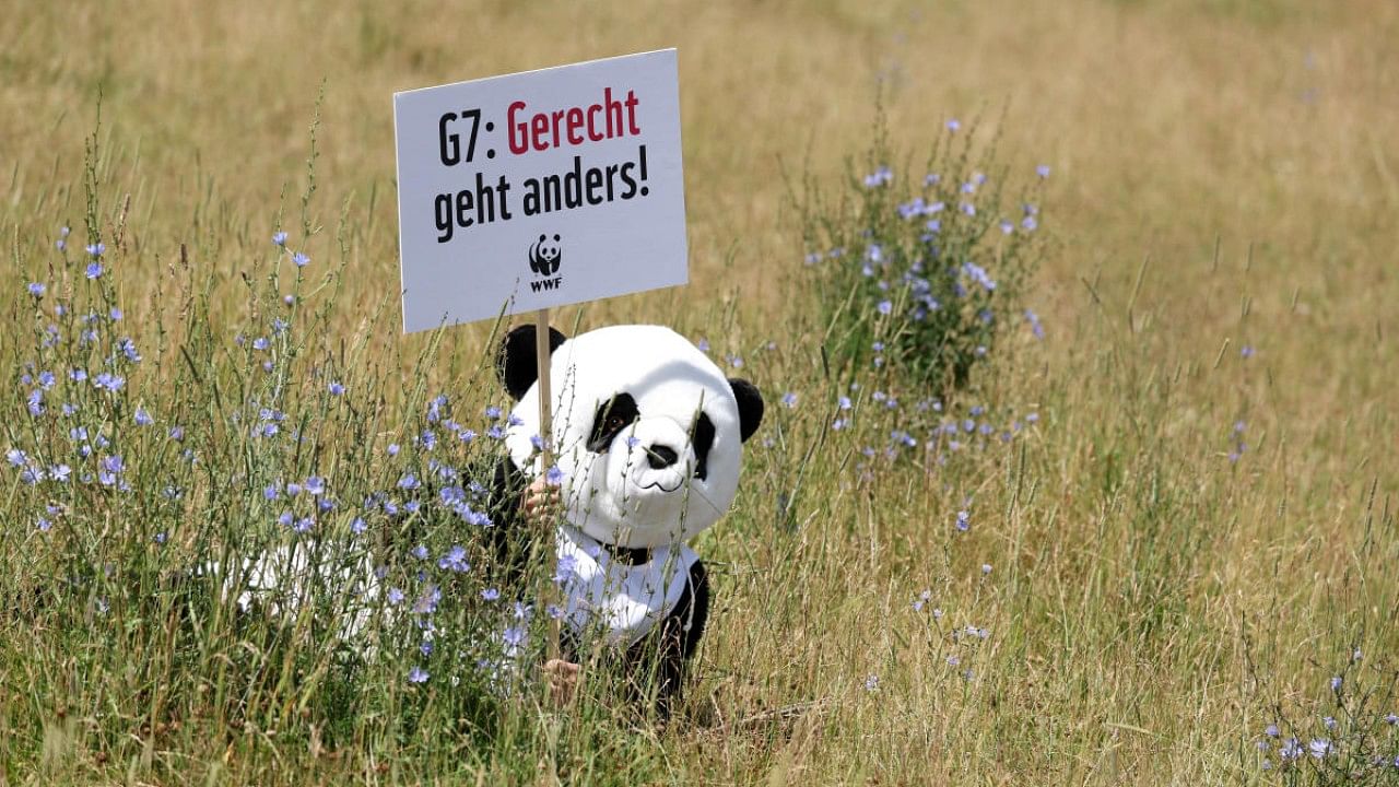 A demonstrator wearing a panda bear costume holds a sign that reads 'G7: Justice is different' during a protest ahead of the G7 leaders summit, which will take place in the Bavarian alpine resort of Elmau Castle, in Munich, Germany. Credit: Reuters Photo