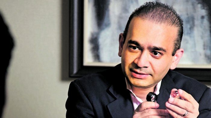 Nirav Modi. Credit: DH File Photo