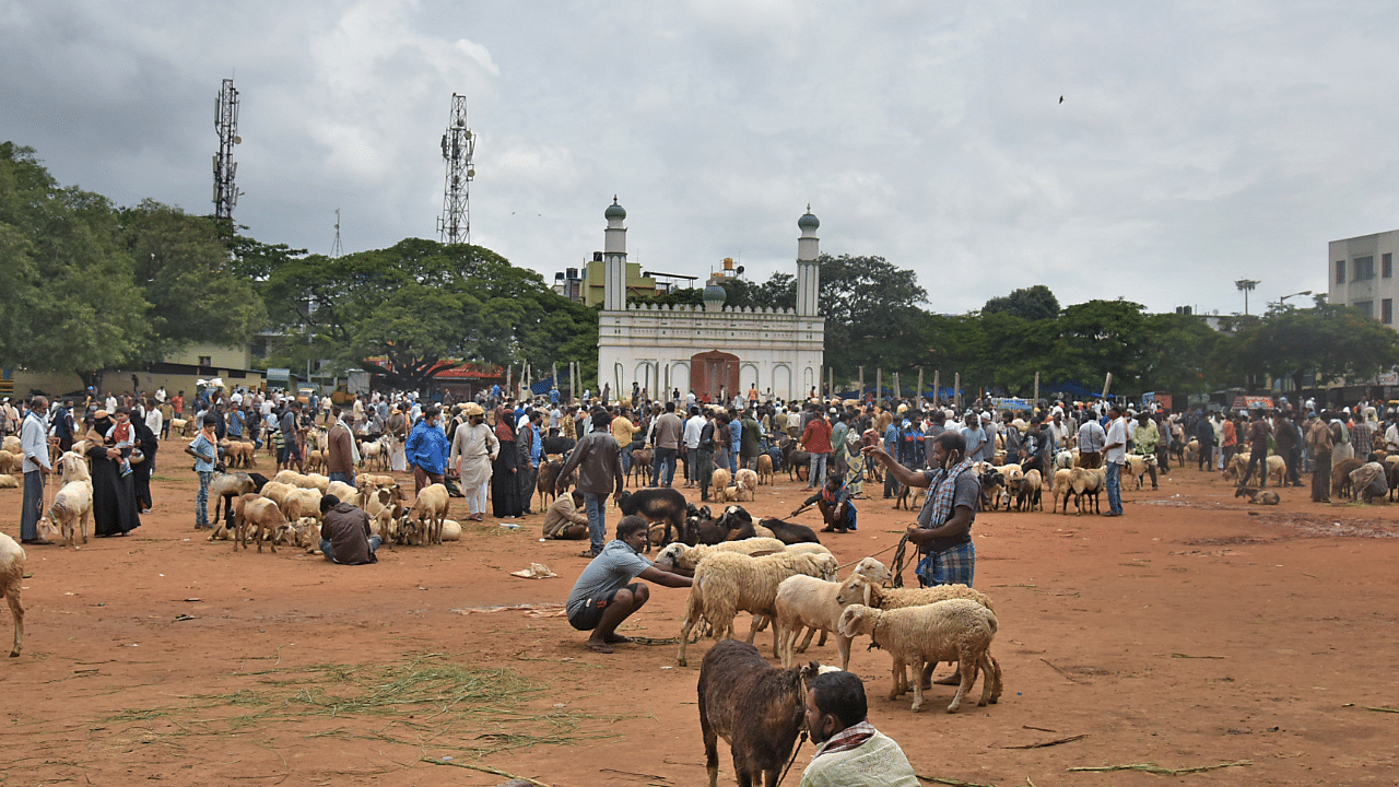 Varieties of sheep and goats on sale at Idgah Maidan at Chamarajpet ahead of Bakrid festival in Bengaluru. Credit: DH File Photo
