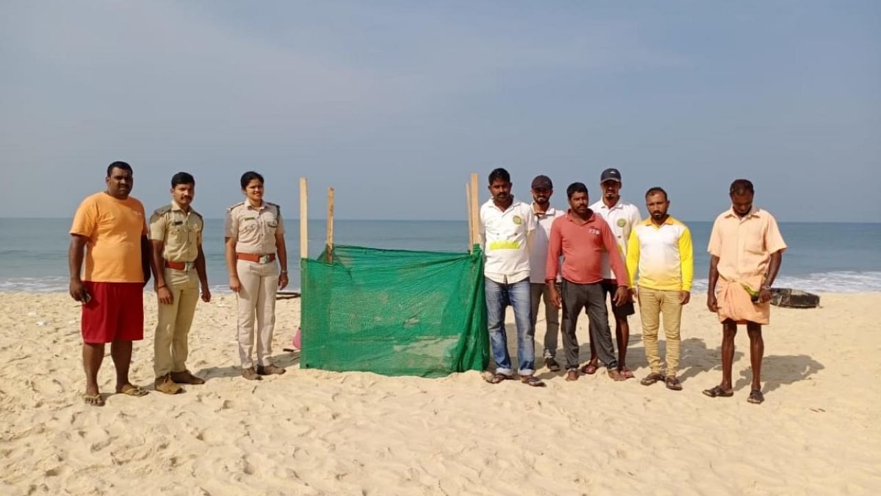 Forest officials with fishermen around the nest of Olive Ridley sea turtles at Kodi beach. Credit: DH photo