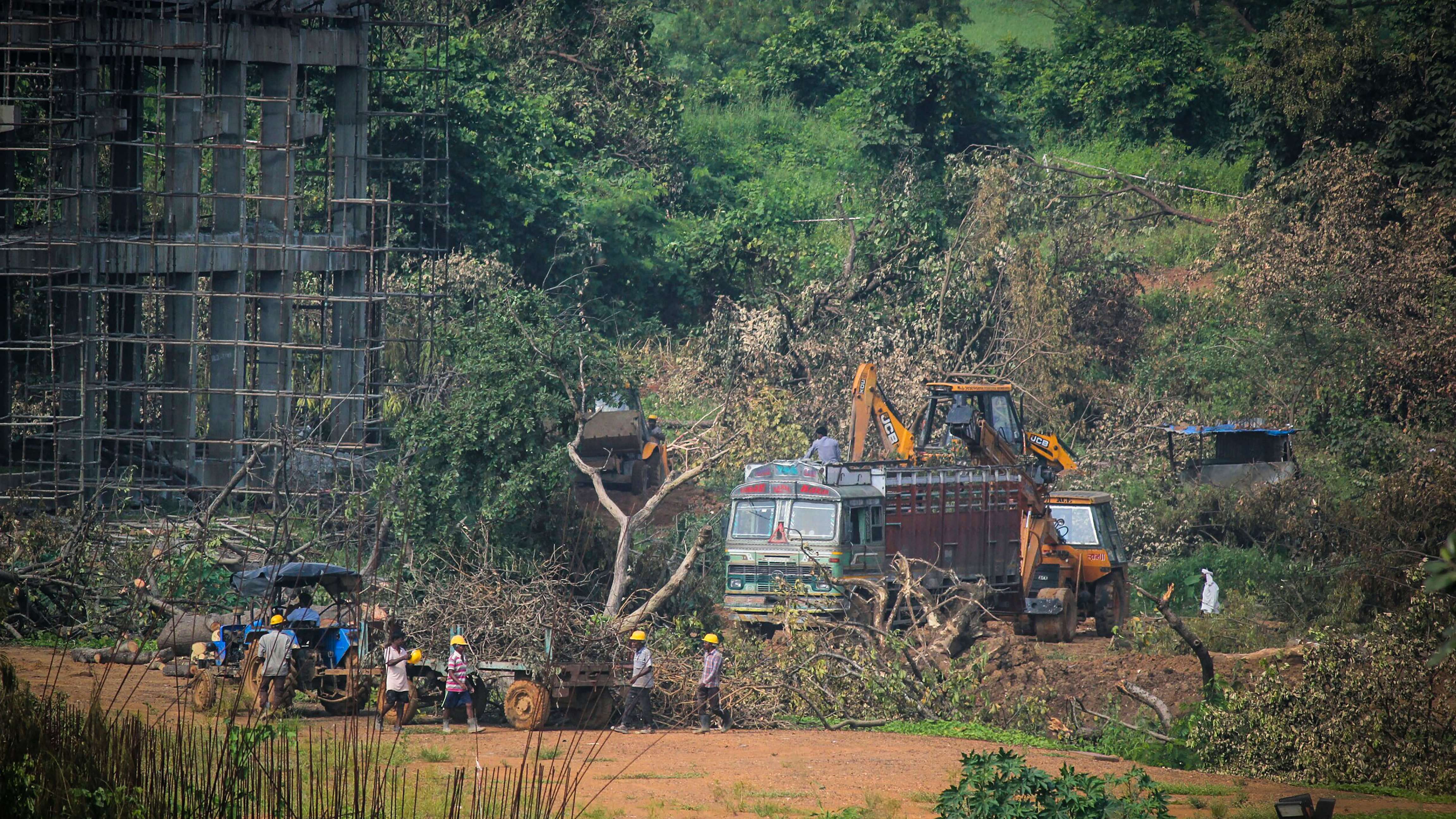 A tractor carries away the fallen trees for building a construction site of metro car parking shed at Aarey Colony, Mumbai, Monday. Credit: PTI Photo